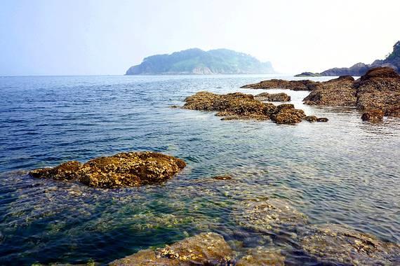 爱吃叶子的毛毛虫